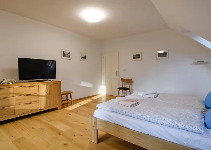 Pod Serovnou Apartament *