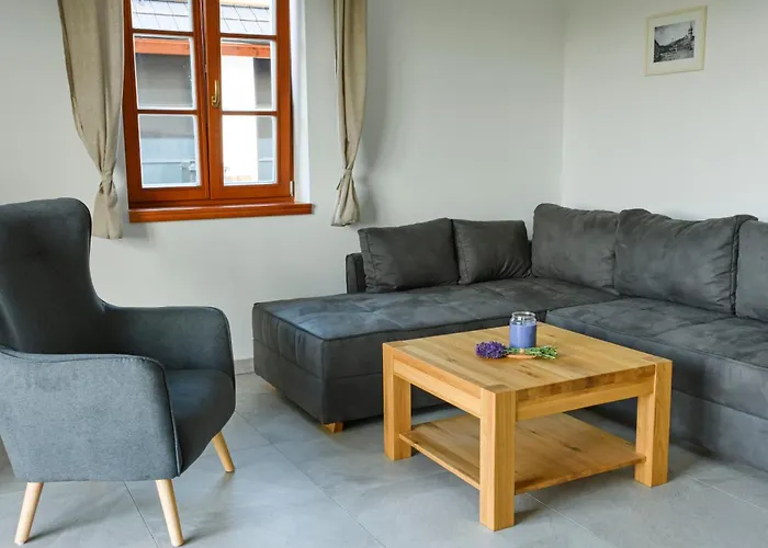 Apartament Pod Serovnou *